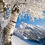 Landhaus Zum Griena Mayrhofen