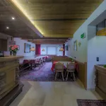 Apartment Zum Griena *