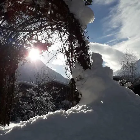 Apartamento Zum Griena *