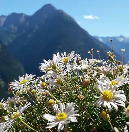 Zum Griena Апартаменти *