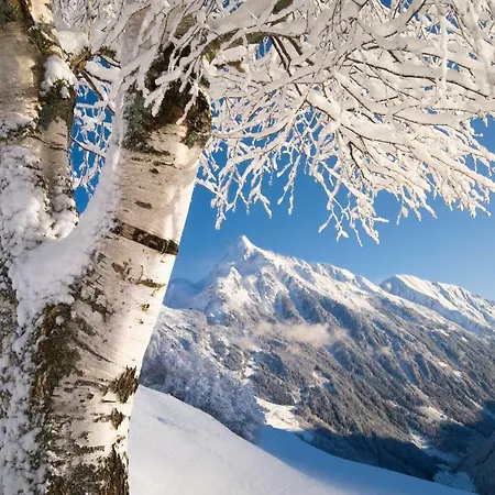 Zum Griena Mayrhofen