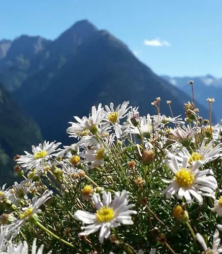 Zum Griena Apartamento *