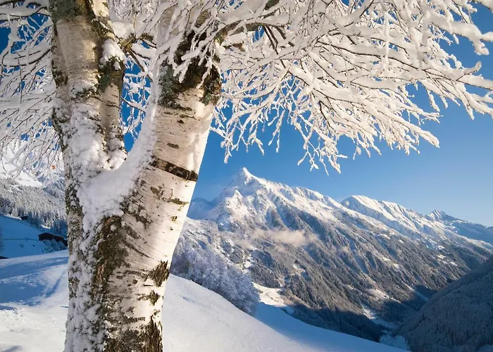 Zum Griena Mayrhofen